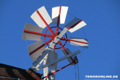 Westgaster Mühle Alleestraße Norden 15.2.2019-14