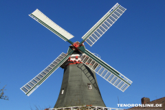 Westgaster Mühle Alleestraße Norden 15.2.2019-4
