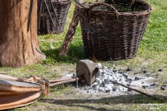 Wikingerfest-am-Meer-Norddeich-Ostfriesland-4.8.2024-20