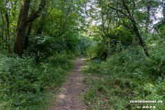 Wildbahnsee-Kiessee-Stadt-Norden-24.6.2023-1