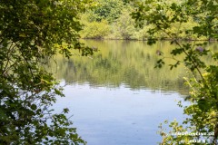Wildbahnsee-Kiessee-Stadt-Norden-24.6.2023-11