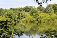 Wildbahnsee-Kiessee-Stadt-Norden-24.6.2023-12