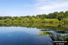 Wildbahnsee-Kiessee-Stadt-Norden-24.6.2023-13