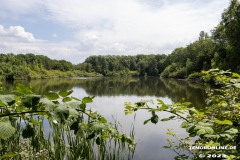 Wildbahnsee-Kiessee-Stadt-Norden-24.6.2023-17