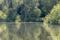Wildbahnsee-Kiessee-Stadt-Norden-24.6.2023-18
