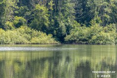 Wildbahnsee-Kiessee-Stadt-Norden-24.6.2023-19