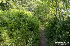 Wildbahnsee-Kiessee-Stadt-Norden-24.6.2023-2