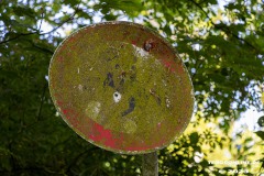 Wildbahnsee-Kiessee-Stadt-Norden-24.6.2023-3
