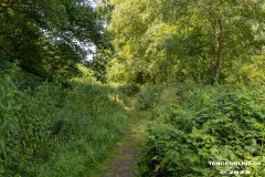 Wildbahnsee-Kiessee-Stadt-Norden-24.6.2023-4