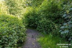 Wildbahnsee-Kiessee-Stadt-Norden-24.6.2023-5