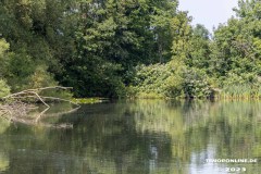 Wildbahnsee-Kiessee-Stadt-Norden-24.6.2023-8
