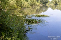 Wildbahnsee-Kiessee-Stadt-Norden-24.6.2023-9