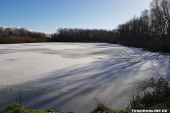 Wildbahnsee-Kiessee-Stadt-Norden-Winter-3.2.2019-1