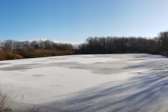 Wildbahnsee-Kiessee-Stadt-Norden-Winter-3.2.2019-2
