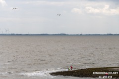 Jadebusen-Wilhelmshaven-Suedstrand-16.7.2023-29