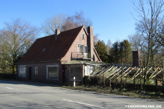 ehemalige Gärtnerei Goldenstein Wurzeldeicherstraße Norden 26.2.2019-4