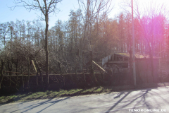 ehemalige Gärtnerei Goldenstein Wurzeldeicherstraße Norden 26.2.2019-9