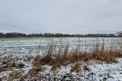 Zum-Hexenkolk-Stadt-Norden-17.1.2024-8