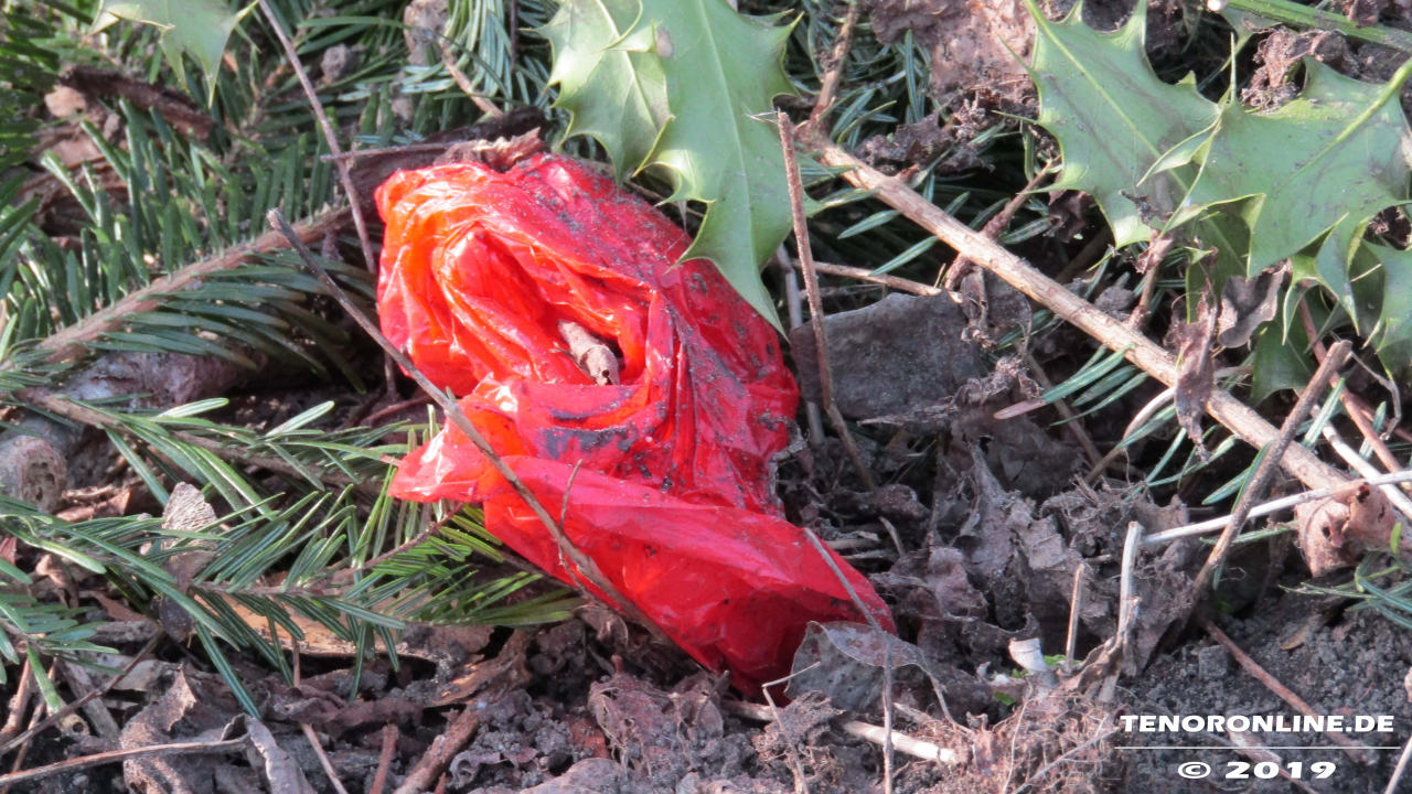Hundekot auf dem Bürgersteig