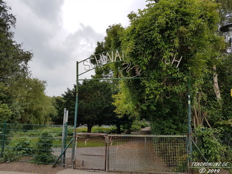 Schwanenteich in Norden Sommer 2017