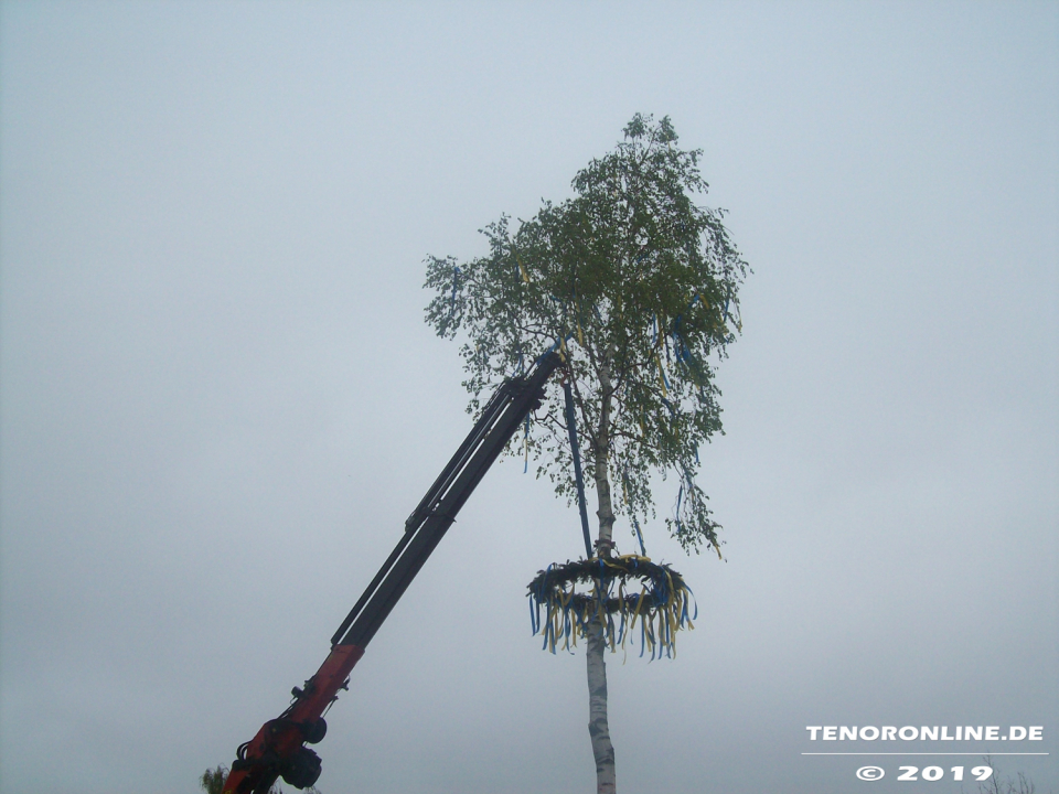Tanz in den Mai-Maibaum Norden 2019