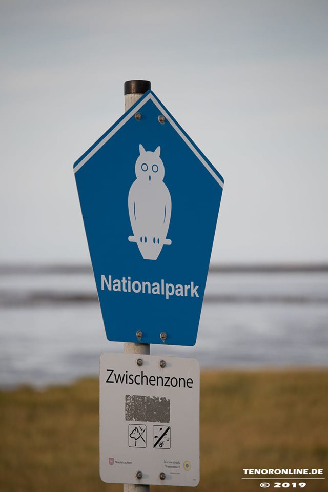 Norddeich – Hunde werden in Nationalpark Zwischenzone nicht angeleint