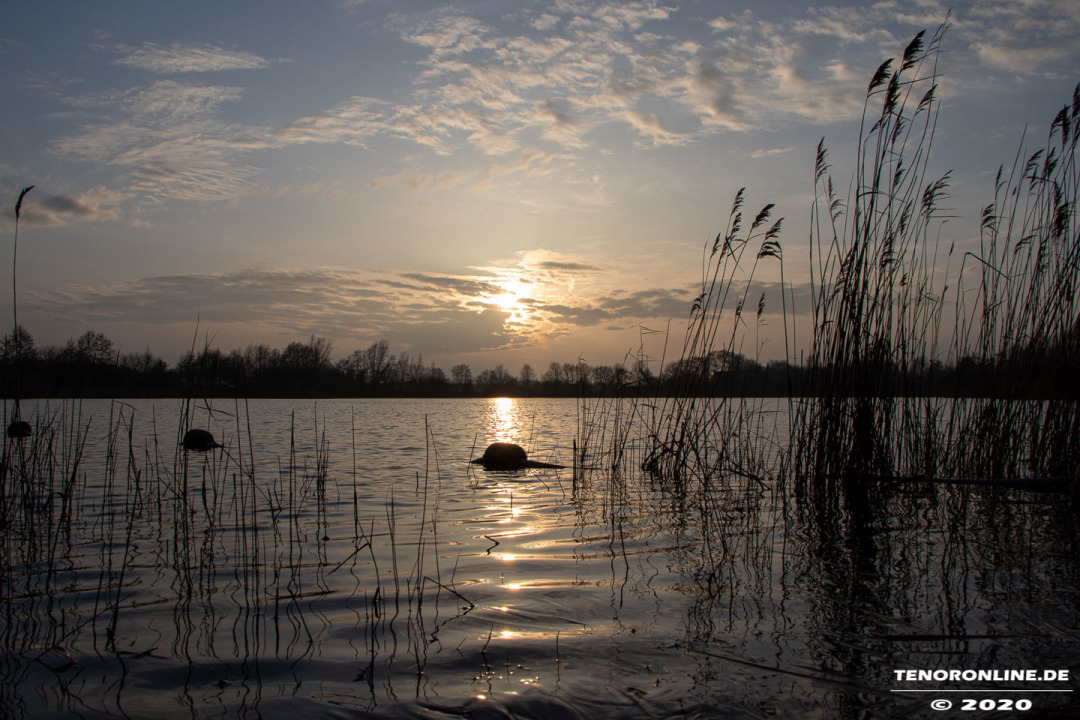 Großheide – Impressionen vom Kiessee am 26.1.2020