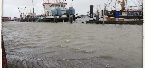 Norddeich – Impressionen Sturmflut Norddeich 10.2.2020