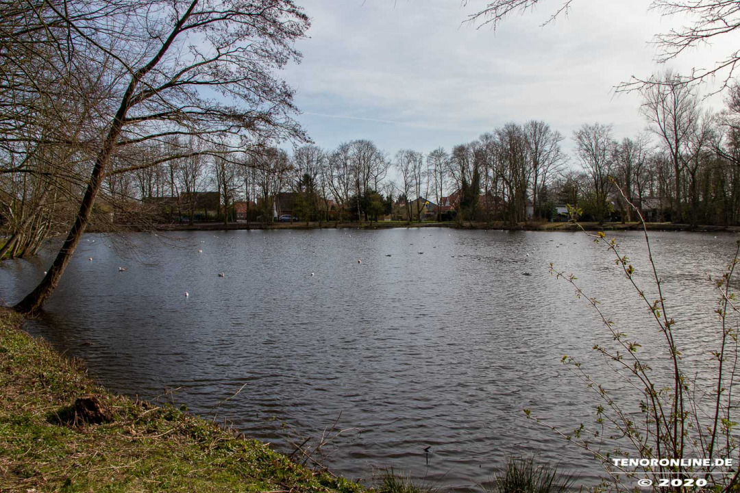 Norden – Impressionen vom Schwanenteich am 24.3.2020