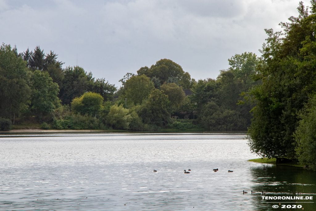 Impressionen vom Kiessee Hage-Berum am 12.9.2020