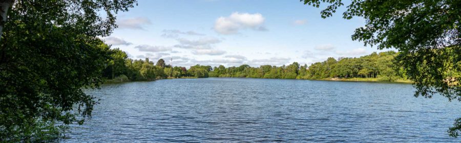 Impressionen Kiessee/Kurpark Berum 4.6.2023