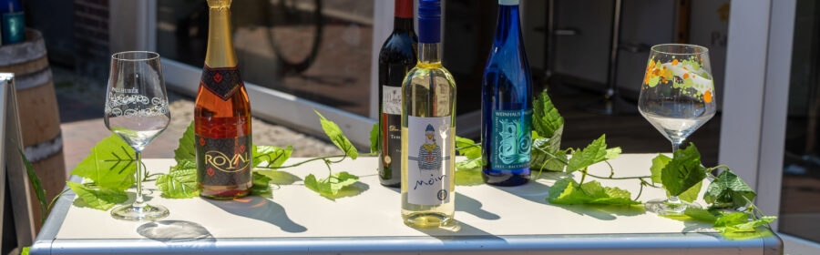 Impressionen Verkaufsoffener Sonntag Stadt Norden am 11.6.2023