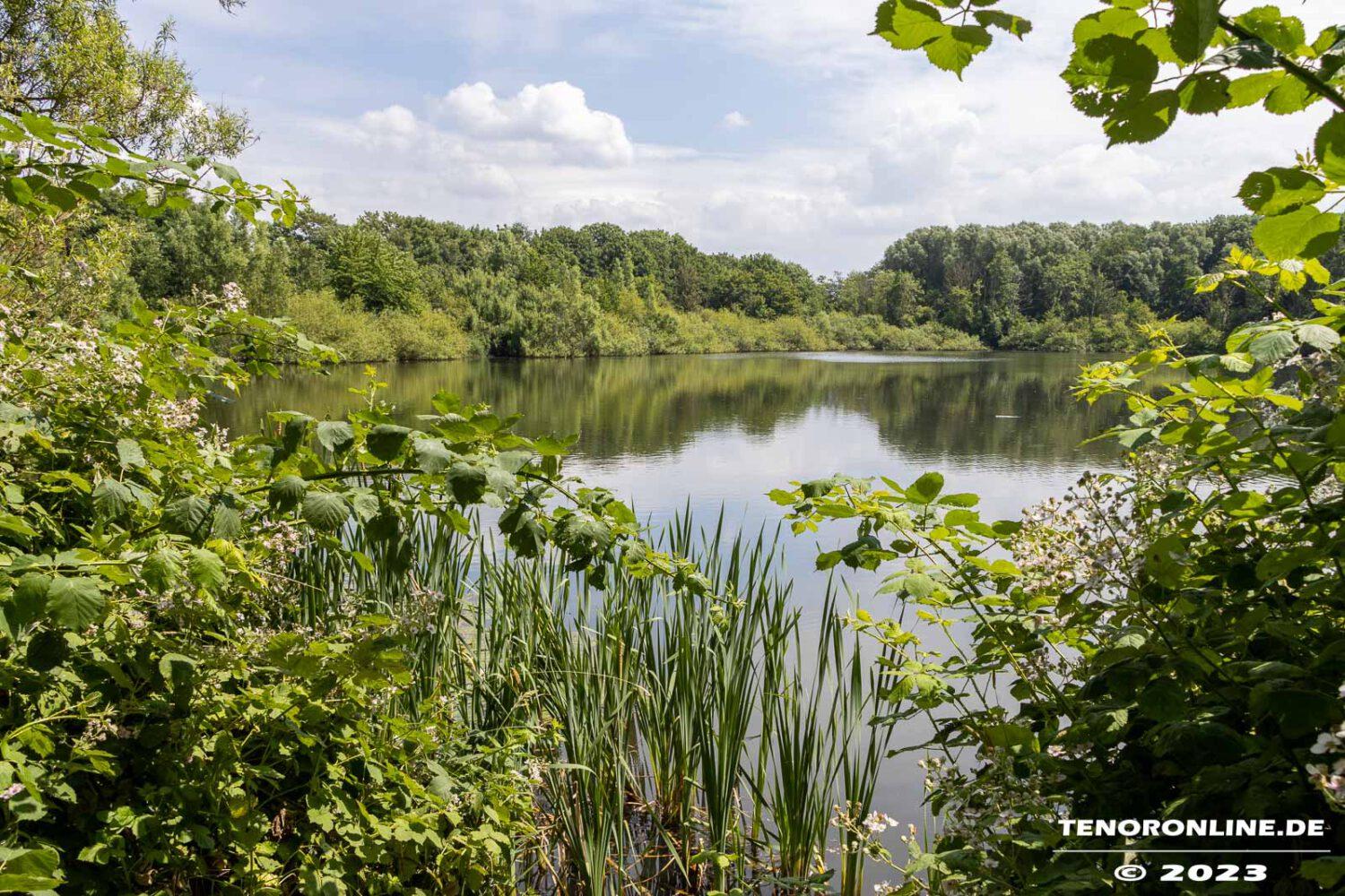 Bildergalerie Wildbahnsee Stadt Norden