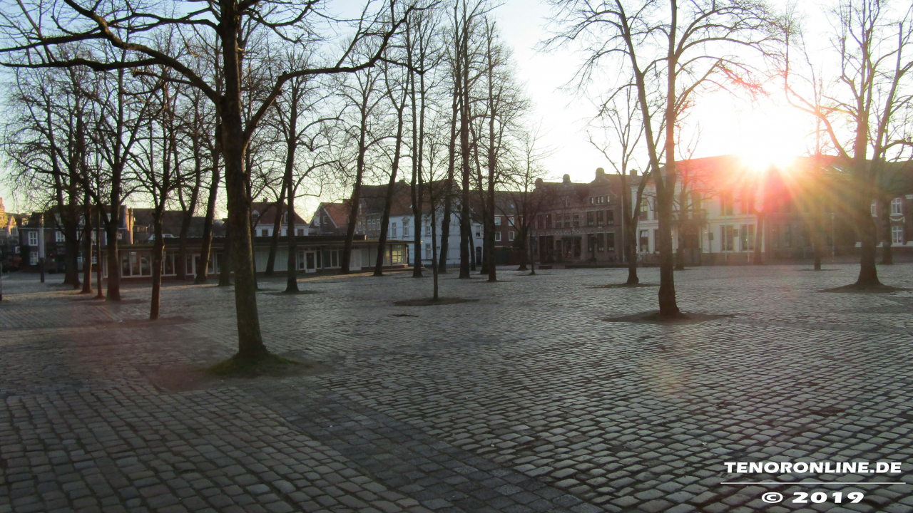 Norden – Stadt fällt  3 Linden auf dem Marktplatz
