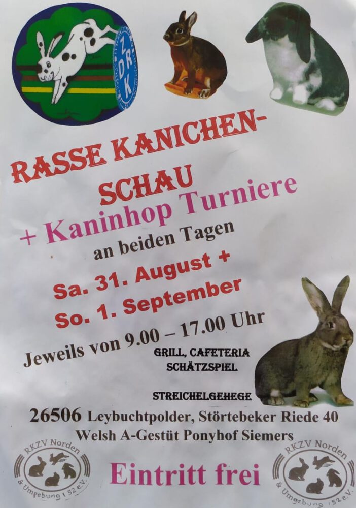 Norden – Rassekaninchenschau am 31.8 & 1.9 in Leybuchtpolder